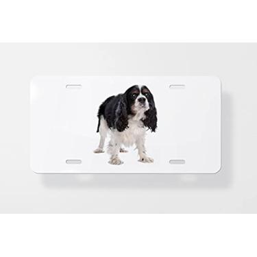 Imagem de Capa para placa de carro Cavalier King Charles Spaniel – Capa para placa de carro – Capa para placa de carro 15 x 30 cm