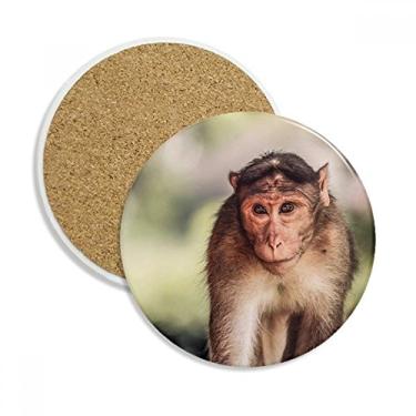 Imagem de Caneca porta-copos de animal selvagem com organismo terrestre de macaco, pedra absorvente de proteção de mesa