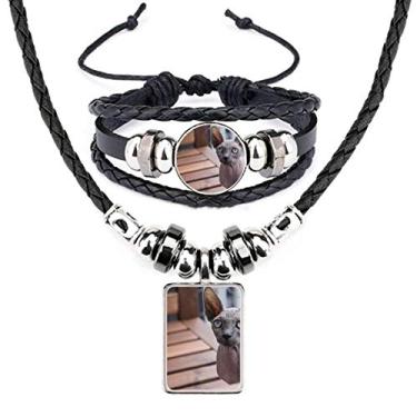 Imagem de Animal Orelha Grande Gato Fotografia Atirada Couro Colar Pulseira Conjunto de Joias