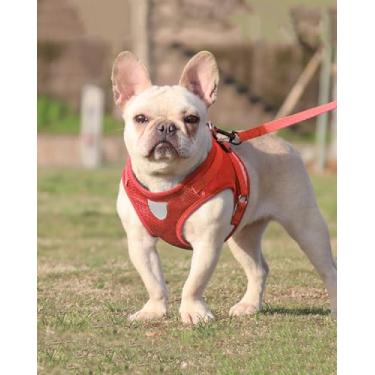 Imagem de Peitoral refletivo para cães pequenos com conjunto de coleira, colete para treinamento e caminhada, colete macio para cães médios vermelho LCC1238-01L