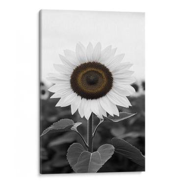 Imagem de Quadro decorativo Girassol Solitário em Campo de Sombras - Art Canvas,