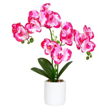 Imagem de Bloom Life Orquídea artificial em vaso de cimento, 13 flores Phalaenopsis realistas com 3 hastes, arranjo de orquídea falsa de 45,7 cm de altura para decoração de casa/escritório/decoração de