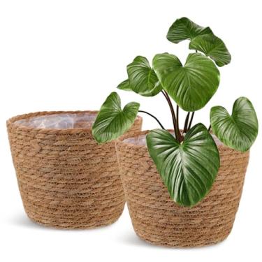 Imagem de Healifty Cesta de plantas de tecido de palha, 2 peças, cesta de flores de vime para interior com forro de plástico natural elegante para decoração de vasos de chão de casa rústica boho casa fazenda