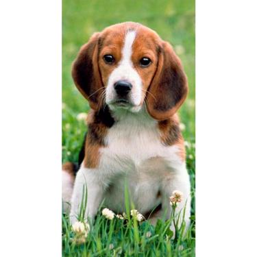 Imagem de Toalha De Praia Buettner Veludo Estampada Beagle Verde