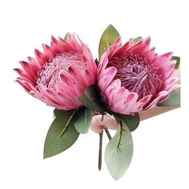 Imagem de Qingriver 2 peças de flores artificiais The King Protea Cynaroides de 67 cm para decoração de escritório e festa de casamento (rosa vermelha)