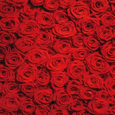 Imagem de RUINI Pano de fundo floral rosa vermelha para fotografia de casamento, parede rosa, dia dos namorados, casamento, chá de panela, decoração de festa, banner 20 x 20 m