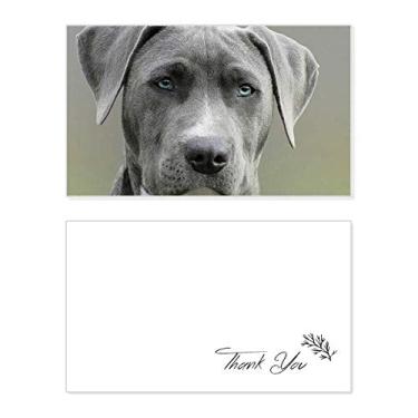 Imagem de Linda imagem de animal de estimação para cães, cartão de agradecimento, papel de aniversário, agradecimento de casamento