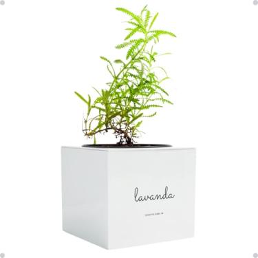 Imagem de Kit Horta Vertical Vaso + Sementes e Substrato Para Chá Jardineiras Salmão (Lavanda, Cinza Claro, 1)