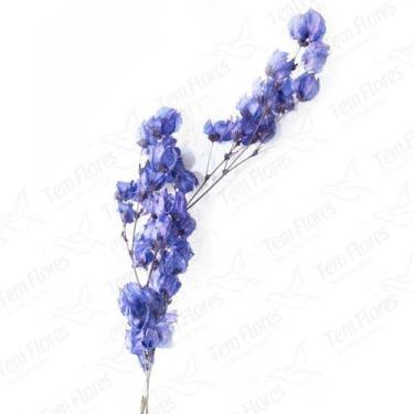 Imagem de Bougainvile Desidratado Buque Flores Secas - Pense Flores, Roxo