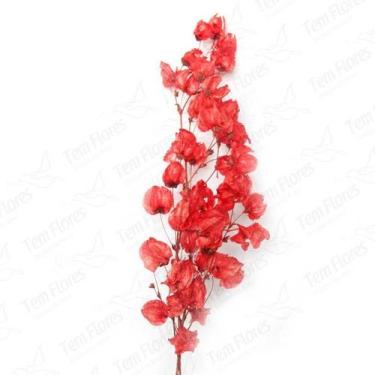 Imagem de Bougainvile Desidratado Buque Flores Secas - Pense Flores, Vermelho