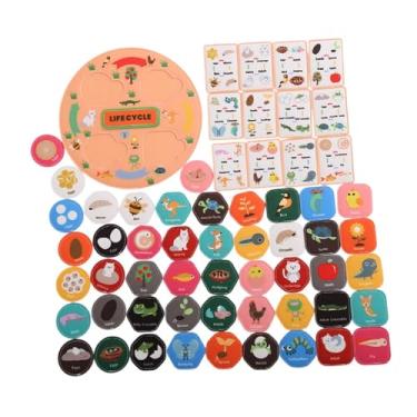 Imagem de JWQFBC Kit de Ciclo de Vida Da Cadeia Alimentar, Brinquedos Educativos Científicos, Lembrancinhas para Festa, Alimentar, Aprendizagem de Animais para a, Laranja