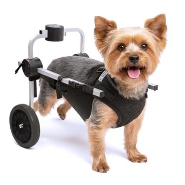 Imagem de Cadeira de 2 Rodas Para Cachorro Tam PP com Colete Preto Regulável Pata Traseira Paraplegia Reabilitação Paralisia Idoso Pet Best Soluções