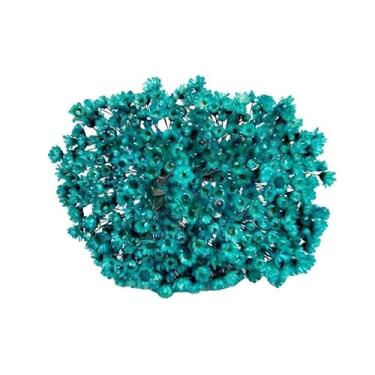 Imagem de SEMPRE VIVAS FLORZINHAS DESIDRATADAS PARA LEMBRANCINHAS ARRANJOS DE MESA CASAMENTOS MAÇO ORGANIZADO(TIFFANY)