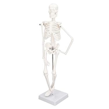Imagem de YWBL-WH Mini Esqueleto Modelo Estrutura óssea do Corpo Humano Com Articulações Móveis, Detalhes Realistas para Estudantes de Medicina, Estúdios de Ioga, Decoração de Halloween