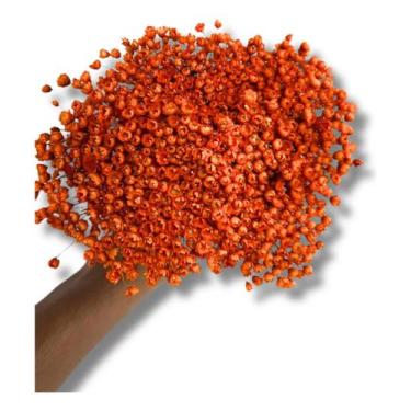 Imagem de Buquê Flor Sempre Viva Seca Laranja Lembrancinha Desidratado - FLORA F