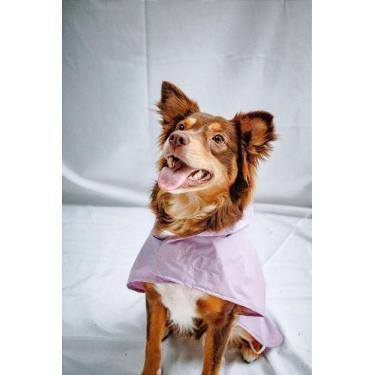 Imagem de Capa de Chuva para Pet - Lavanda - BenDog, PP