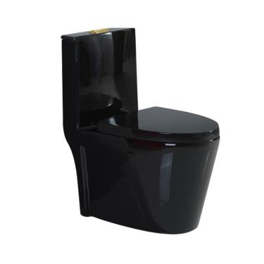 Imagem de Vaso Sanitário Monobloco Prizi Cerâmica com Kit Completo e C