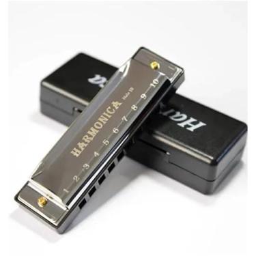 Imagem de Gaita diatônica profissional com chave C de dez furos com estojo (prata)