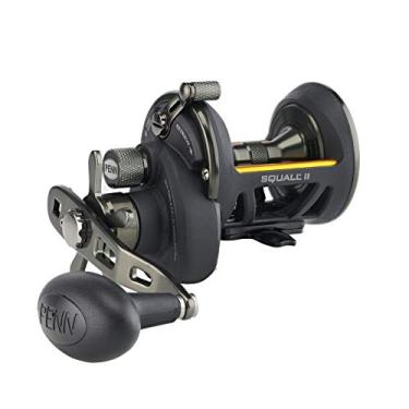 Imagem de PENN Fishing Penn Squall II Star Drag Molinete de pesca convencional, preto dourado (SQLII15SDCS)
