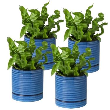 Imagem de Hasense Vasos de plantas pequenos, vasos de porcelana de 11 cm com orifícios de drenagem e alcatrão para flores, plantas, suculentas, cactos, ervas, orquídeas, decoração azul moderna para casa