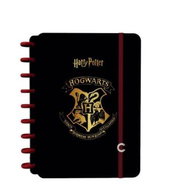 Imagem de Caderno inteligente 14 1x1 80fls 01pt harry potter fsc jandaia 7574024