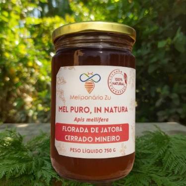 Imagem de Mel Puro, Florada de Jatobá, In Natura, 100% Natural, Cru, Sem Aquecim
