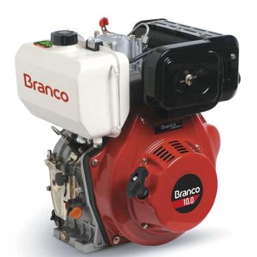 Imagem de Motor Estacionário Diesel 10cv Partida Manual Branco Motores