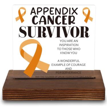 Imagem de VYNWPDFLI Apêndice Presente de sobrevivente do câncer - Placa acrílica para sobreviventes de câncer, um tributo à força e resiliência, LYY43