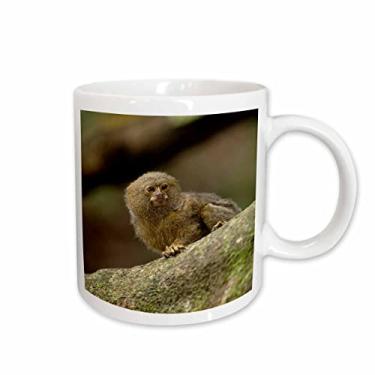 Imagem de 3dRose Caneca de cerâmica Oxford Pygmy Marmoset Wildlife, Cocaya River, Amazon Ecuador-SA07 POX2033-Pete Oxford, 445 g, branca