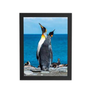 Imagem de Pinguins Animais Oceano Mar Quadro Moldura Preta 60X40Cm