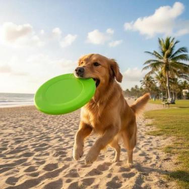 Imagem de Frisbee Dog Play para Cachorros  Disco Voador Pet para Diversão, Exerc