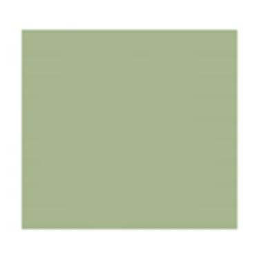 Imagem de Reaper Miniaturas 9036 Master Series Paint44; Oliva Pálida