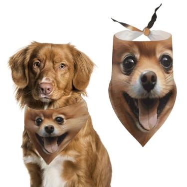 Imagem de Cachecol triângulo de poliéster estampado para cães da Pomerânia - Tamanho único (70 x 30 cm)