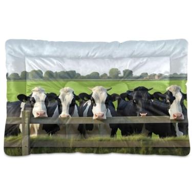 Imagem de Wassud Cama lavável para cães pequenos, cinco vacas pastando perto de uma cerca, tapetes para cães pequenos, tapete portátil macio para animais de estimação, cama antiderrapante para cães e gatos