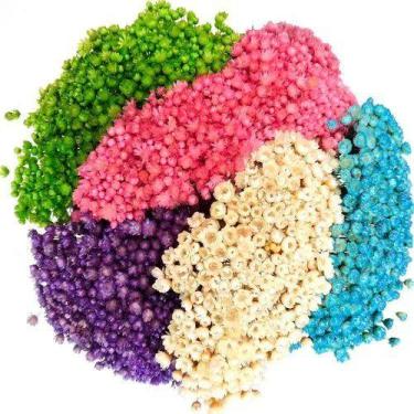 Imagem de Kit 10 maços Sempre Viva - Cores Variadas - Pense Flores