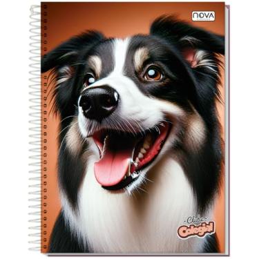 Imagem de CADERNO UNIVERSITÁRIO C/D ESPIRAL 12 MATÉRIAS 240 FLS CLUBE COLEGIAL