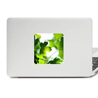 Imagem de Adesivo de vinil para laptop com imagem de planta da folha do sol decoração de policarbonato