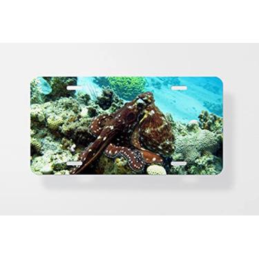 Imagem de Capa para placa de licença de recife de coral com polvo na parte inferior do mar tropical em água azul - Capa para placa de carro - Capa para placa de carro 15 x 30 cm