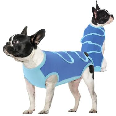 Imagem de Queenmore Terno de recuperação para cães após a cirurgia azul, macacão PP para cães, macacão de recuperação de cirurgia, camisa profissional de recuperação de animais de estimação, evita lamber trajes