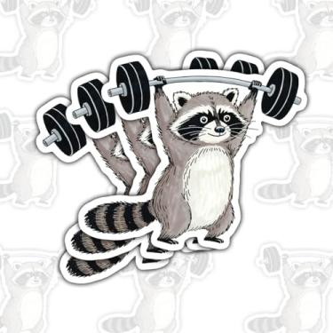Imagem de 3 adesivos de guaxinim para halterofilismo, adesivos de vinil engraçados de academia de ginástica para laptop, caderno, diário, garrafa de água, carro, presente para adolescentes, fãs de fitness