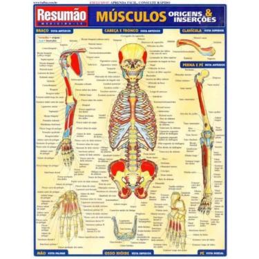 Imagem de Resumao Medicina - Musculos - Origens e Insercoes