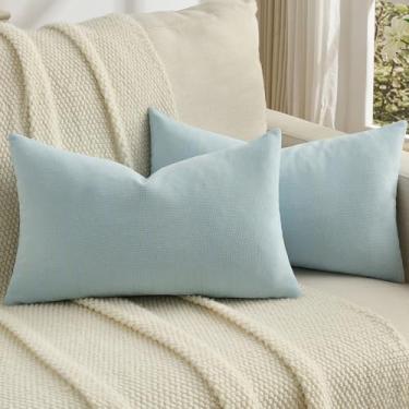 Imagem de FUTEI Conjunto de 2 capas de almofada de chenille azul claro 30 x 50 cm, macias e aconchegantes com pontos de meteoros texturizadas, decoração de casa moderna para sofá, sala de estar
