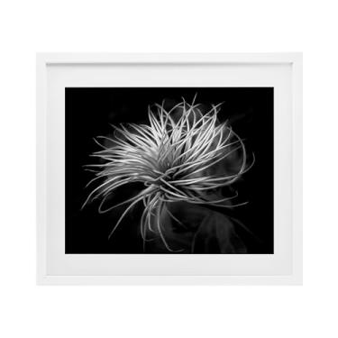 Imagem de Stupell Industries Impressão emoldurada branca com contraste de folhas botânicas torcidas sob vidro, design de Phillip Flowers, 13 x 16