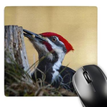 Imagem de 3dRose Pica-pau-pau empilhado, peixe-branco, Montana, US27 Cha1854, mouse pad Chuck Haney (mp_91882_1)