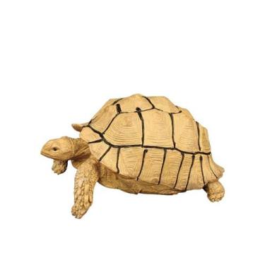 Imagem de Estatueta de tartaruga, modelo realista de tartaruga terrestre em PVC 