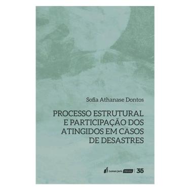 Imagem de Processo Estrutural E Participação Dos Atingidos Em Casos De Desastres - 2024