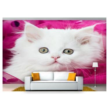 Imagem de Papel De Parede Animais Gato Branco E Rosa  Anm135