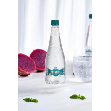 Imagem de Água Mineral Gourmet Caxambu 510ML Com Gás