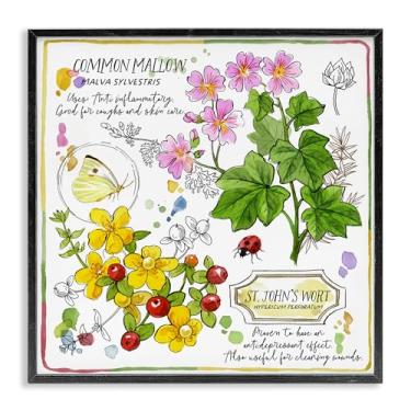 Imagem de Stupell Industries Wild Herbs Benefits Design de arte de parede giclée emoldurado por Jane Maday, moldura preta, 61 x 61 cm