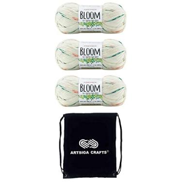 Imagem de Premier Yarns Fio acrílico Bloom Gerbera 1090-15 (3 novelos - mesmo lote de corante) DK Light Worsted #3 para crochê e tricô com bolsa de projeto